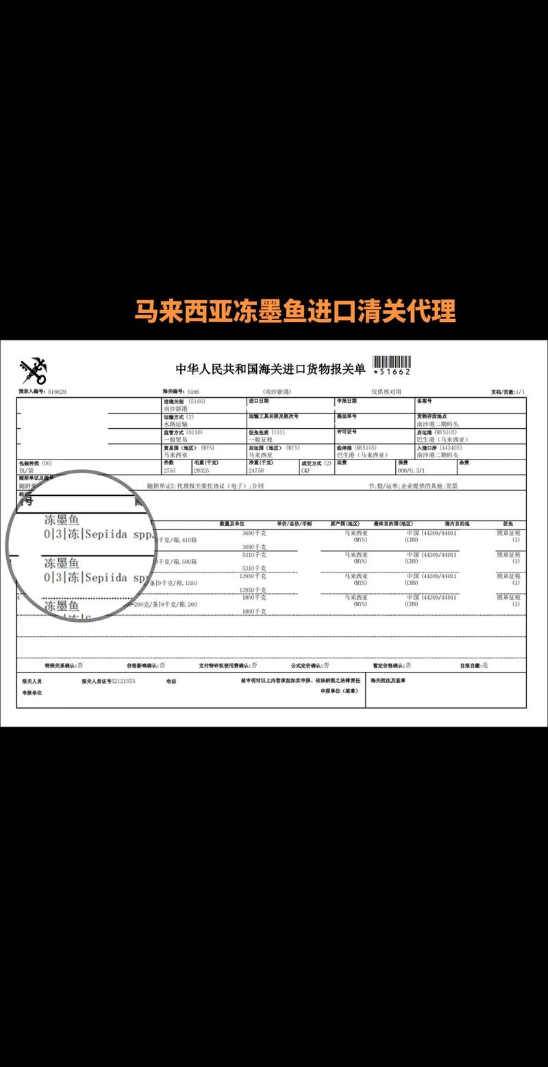 国际贸易代理风云：从全球化浪潮中掘金